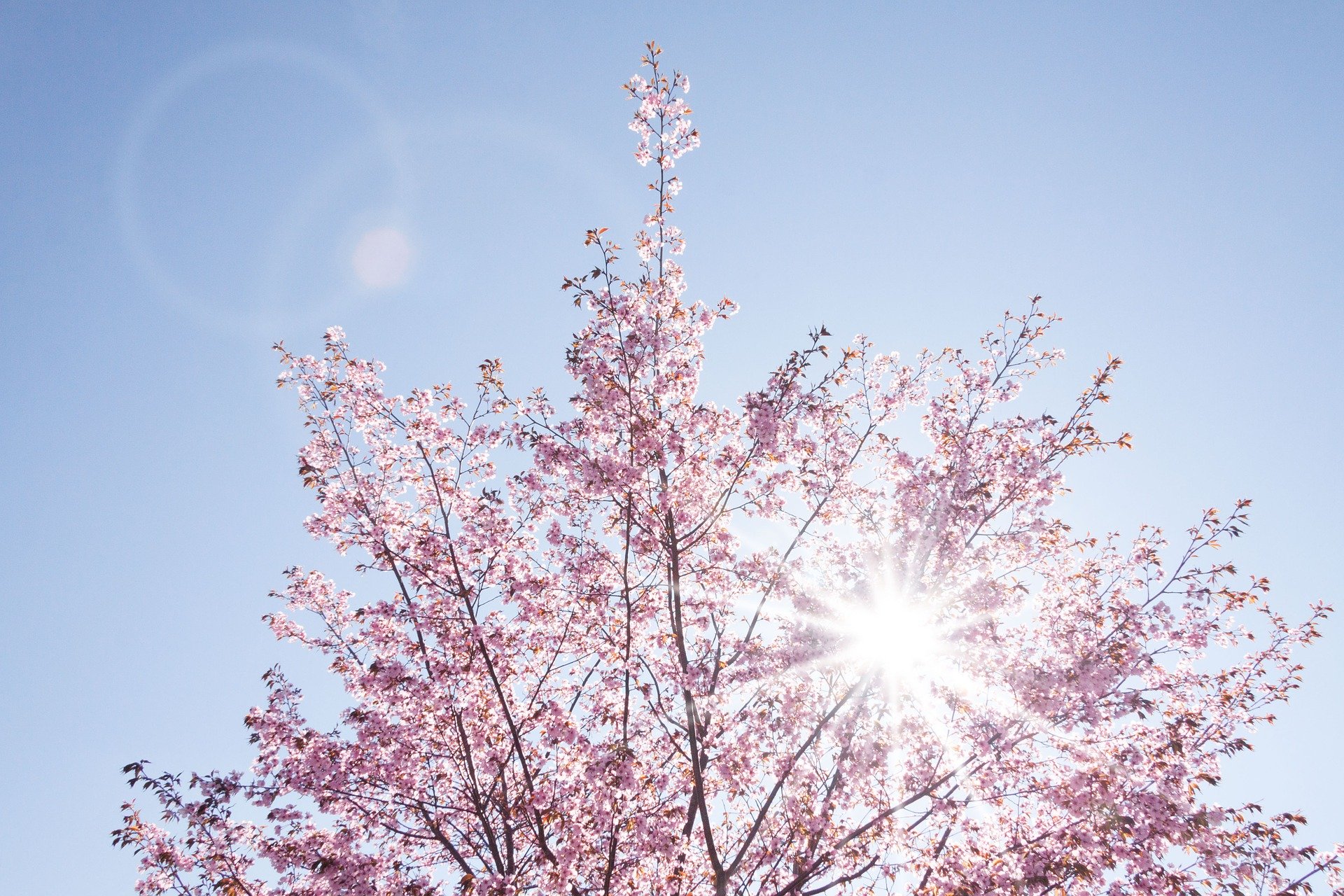 Along with Spring, new good marketing news emerge!