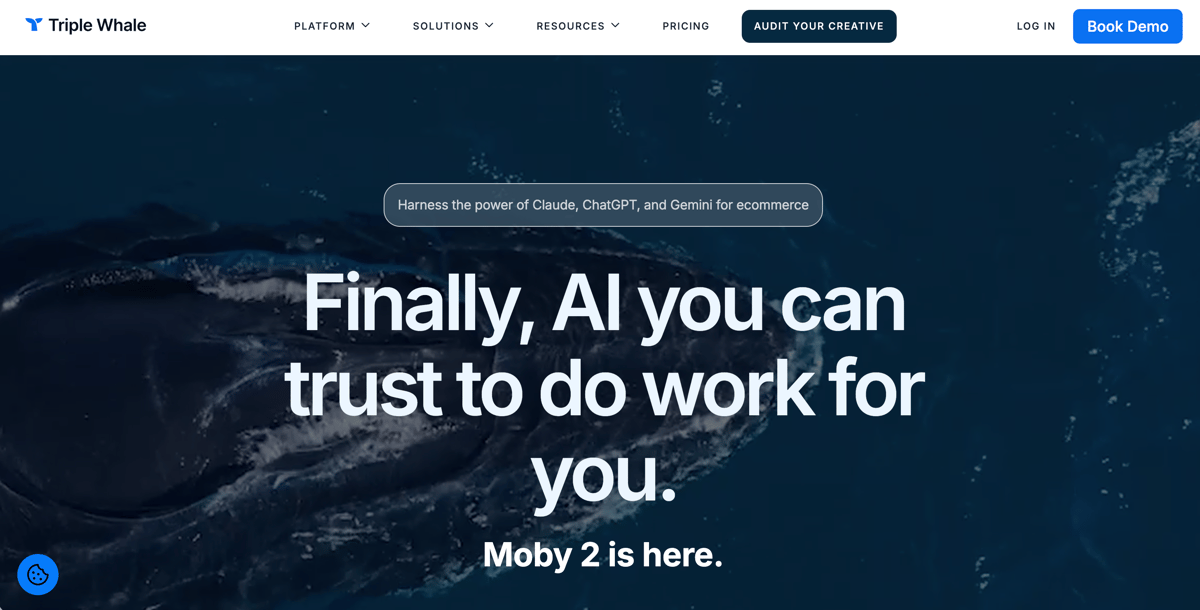 Triple Whale website