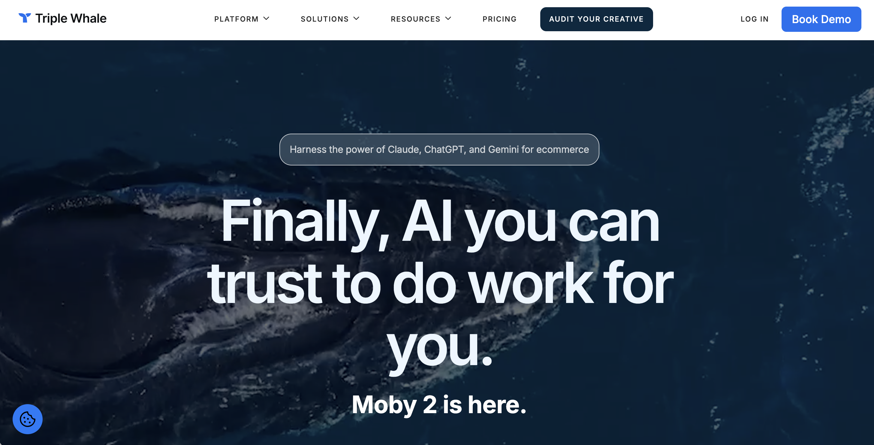 Triple Whale website
