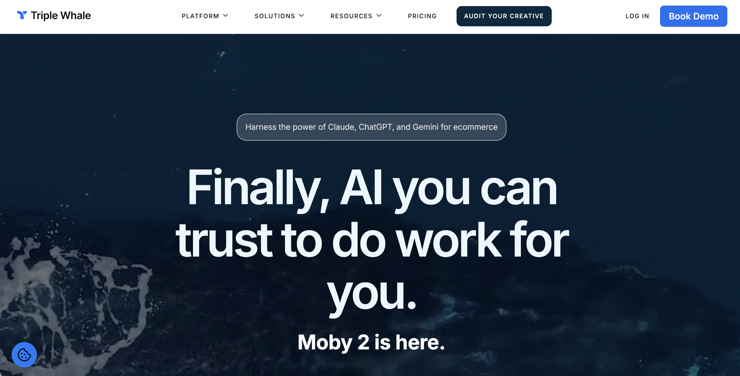 Triple Whale website