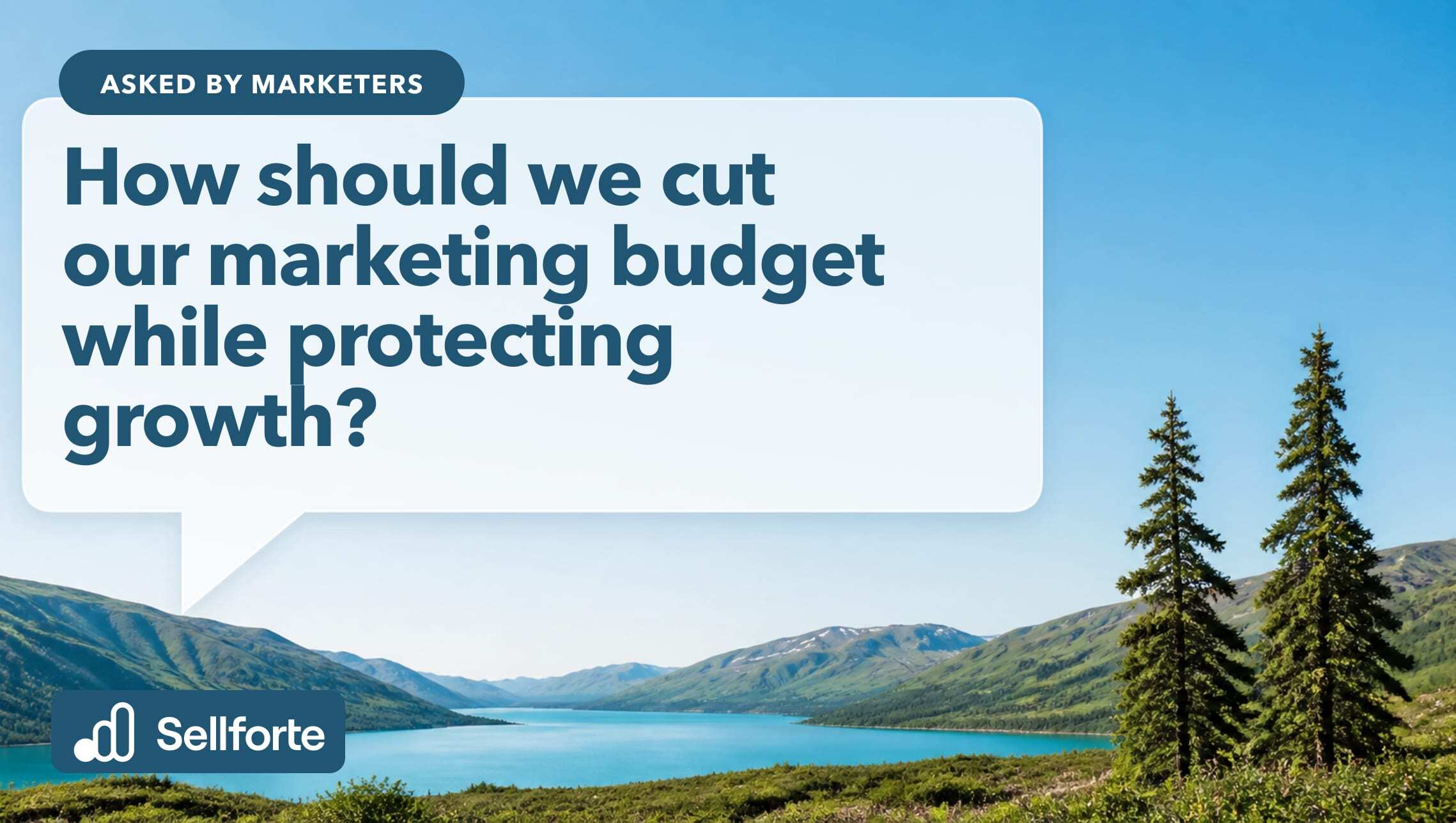 How should we cut our marketing budget while protecting growth?