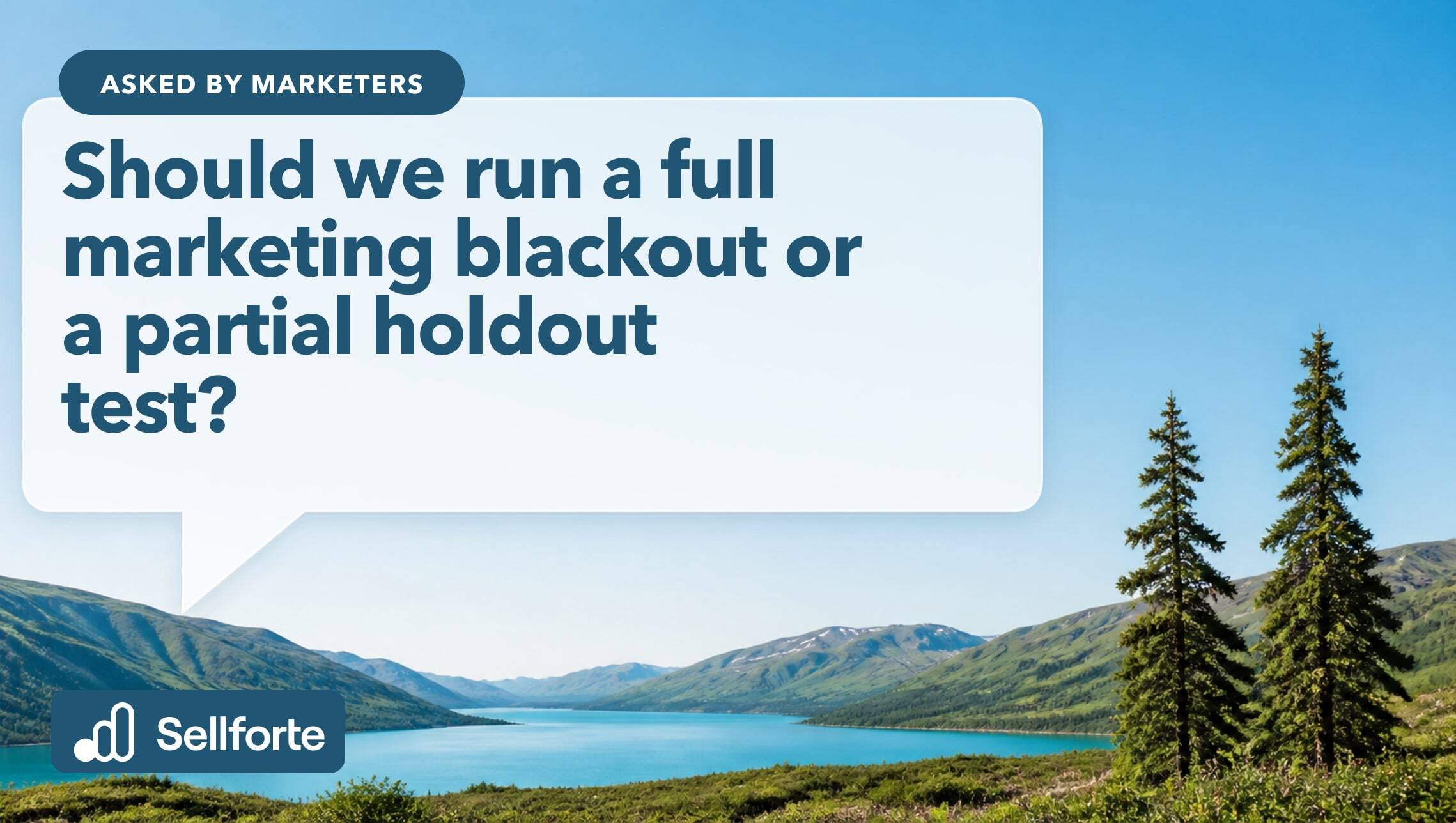 Should we run a full marketing blackout or a partial holdout test?